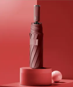 10-спицевый автоматический складной зонт с защитой от УФ-излучения 99%.