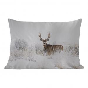 Уличная подушка MuchoWow - Олень - Зима - Снег - Животные - Времена года - Белый - 50x30 см - Устойчивость к атмосферным воздействиям - Подушка для отдыха - Чехол на подушку - Хлопчатобумажная ткань - Декоративные наволочки, мультиколор