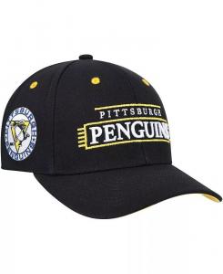 Мужская черная кепка Pittsburgh Penguins LOFI Pro Snapback Mitchell & Ness, черный