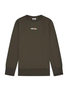 Темно-зеленая толстовка ellesse