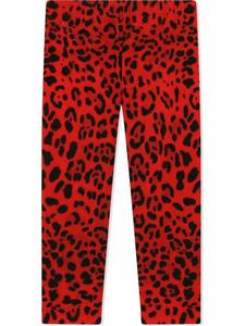 Dolce & Gabbana Kids леггинсы с леопардовым принтом, красный