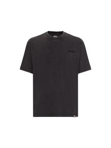 Футболка DICKIES Shirt PLENTYWOOD TEE SS, черный