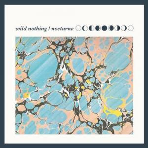 Диск CD Nocturne - Wild Nothing