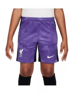 Шорты для выступлений на третьем стадионе Big Boys Purple Liverpool 2023/24 Nike, фиолетовый