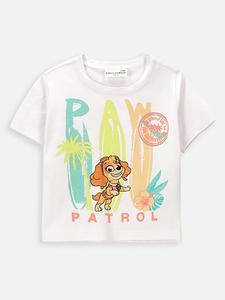 Coccodrillo Белая футболка