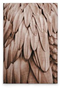 Картина на холсте A.S. Création Feathers 1 цвет rosabeige