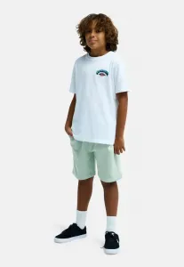 Easydajogshorty bga спортивные шорты Quiksilver, Turquoise