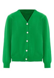 Толстовка SANIKA Strickjacke, зеленый