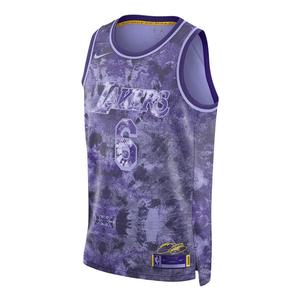Майка Nike x NBA LeBron James Los Angeles Lakers 22/23 Dri-FIT Swingman Jersey 'Purple', фиолетовый