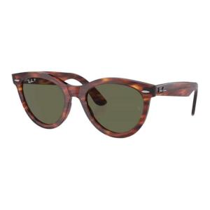 RayBan Солнцезащитные очки Ray Ban Wayfarer круглой формы, Tortoiseshell