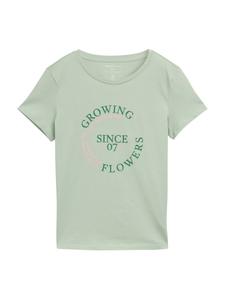 Рубашка TOM TAILOR DENIM, цвет Green/Light green