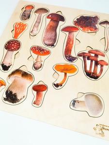 Виды грибов, деревянная головоломка, лесные образования, виды грибов. Inna marka