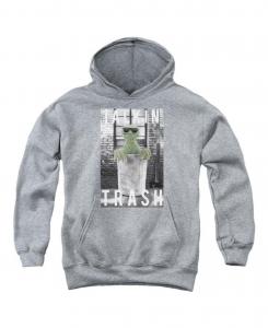 Толстовка Youth Talkin Trash Pull Over Hoodie Sesame Street, Medium grey