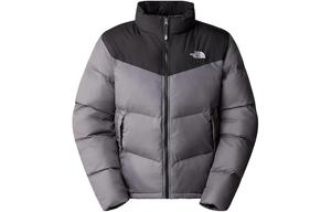 Куртка мужская серый The North Face