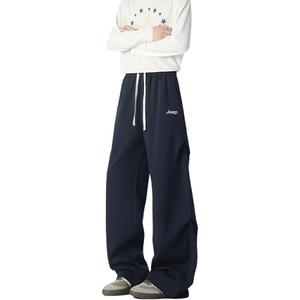 Брюки Casual Leisure Collection Unisex Jeep, темно-синий regular edition