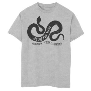 Футболка Ambition с рисунком Гарри Поттера «Слизерин» для мальчиков 8–20 лет Harry Potter