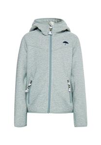 Флисовая куртка Schmuddelwedda Fleece Jacket Rabine, зеленый