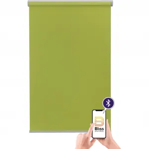 Электрические рулонные шторы Sunlines «Las Vegas», затемняющие, затемняющие, с отверстием, свободно висящие, с управлением через приложение через Bluetooth, с мотором и аккумулятором, серебристый откидной стержень, цвет grün + silberfarben