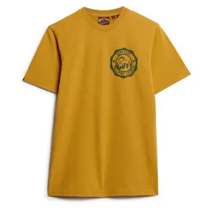 Футболка Superdry Lo-Fi Outdoor Graphic, желтый