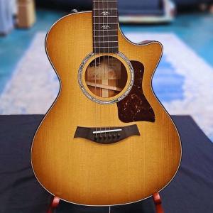 Акустическая гитара Taylor 512ce Urban Ironbark 1209132144