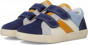 Кроссовки Naturino  Falcotto Kilde VL., Navy/Milk/Celeste