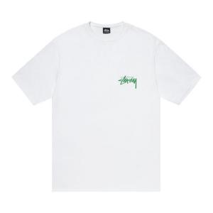 Футболка Stussy Landin Tee 'White', белый