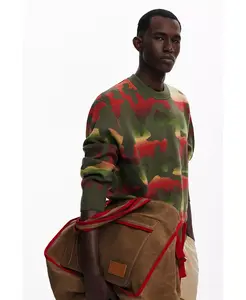 Мужской свитер в полоску с животным принтом Desigual, зеленый