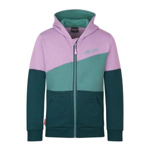 Детский свитер Alesund с капюшоном Trollkids, мультиколор