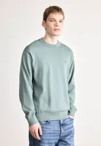 Свободный джемпер с длинными рукавами и круглым вырезом Calvin Klein Jeans, Autumn Green
