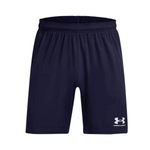 Мужские шорты Under Armour M's Ch. Knit Short 1379507