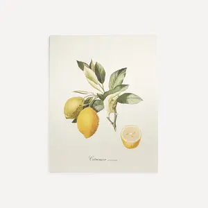 The Dybahl Лимоны Фруктовый принт The Dybdahl, разноцветный