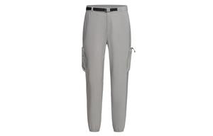 Спортивные штаны bleu мужские DESCENTE, серый