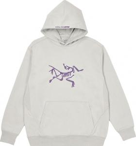 Толстовка Palace x Arc'teryx Hood 'Grey', серый