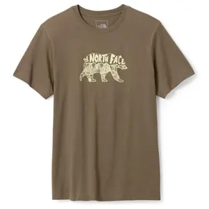 Футболка Evolution TNF Bear The North Face, Smokey Brown