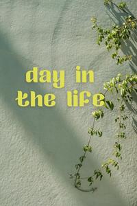 daily planners book (Independently published)