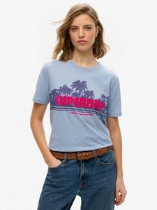 Футболка Outdoor Stripe Relaxed Superdry, Rodeo Drive Blue