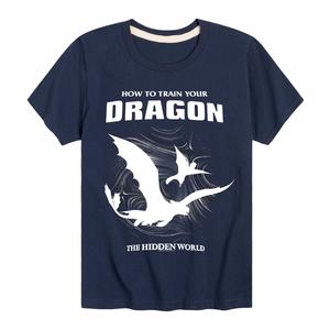 Футболка с рисунком «Как приручить дракона» для мальчиков 8–20 лет Licensed Character, синий