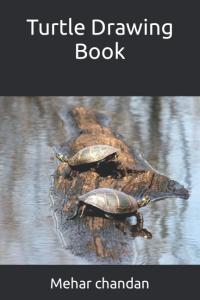 Turtle Drawing Book (Independently published)