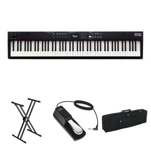 Цифровое пианино Roland RD-08 Digital Stage Piano Kit with X-Stand, Sustain