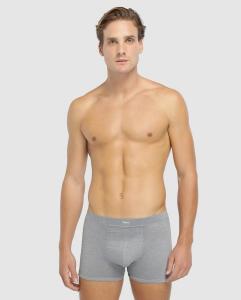 Серые мужские трикотажные боксеры Ferry's Ferrys, серый