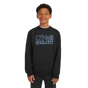 Толстовка O´neill Essentials, черный