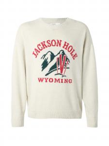 HOLLISTER Свитер в натуральном белом цвете