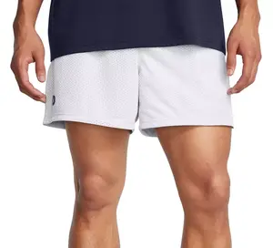 Мужские шорты из сетки Under Armour Icon, цвет Halo Gray/White