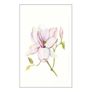 Фреска Komar Magnolia Shine цвет rosa/grün/weiß