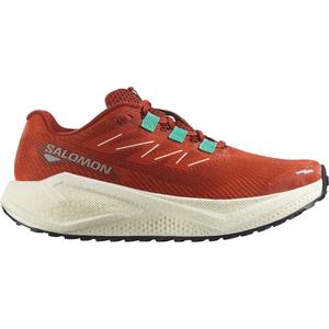 Беговые кроссовки Aero Blaze 3 GRVL Salomon, мультиколор