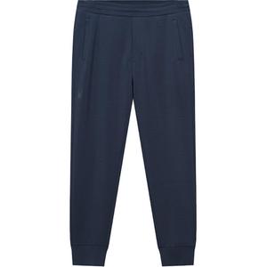 Повседневные брюки мужские SPYDER, синий