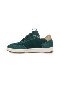 Кроссовки DC Shoes ASTRIX SE , Darkgreen Offwhite/Green