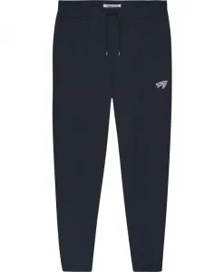 Синие джинсы для мужчин Tommy Jeans, синий