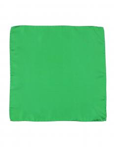Нагрудный платок Ascot, зеленый