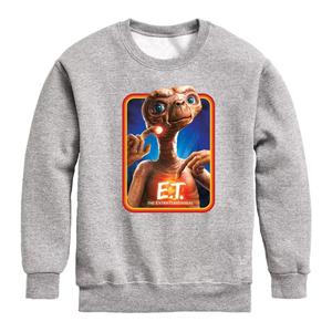 Мальчики 8–20 лет восточноевропейского времени. Флисовый свитшот в стиле ретро Licensed Character, серый